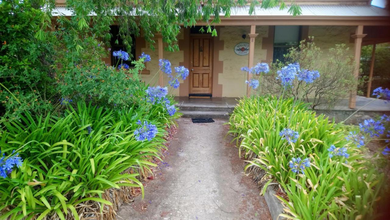 Walnut Cottage Angaston Экстерьер фото