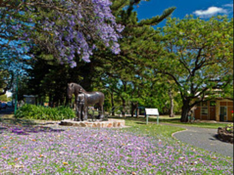 Walnut Cottage Angaston Экстерьер фото